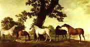 George Stubbs Pferde in einer Landschaft oil on canvas
